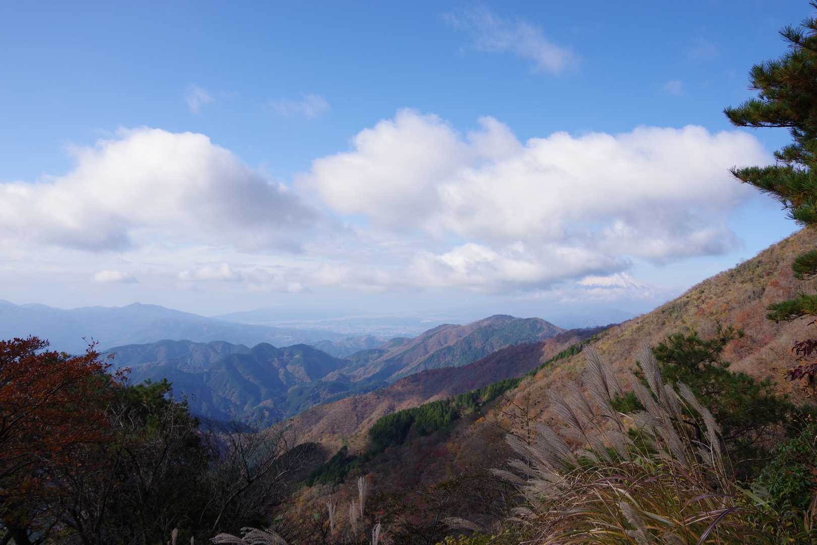 大倉バス停-堀山-塔ノ岳-日高-竜ヶ馬場-丹沢山-小丸-鍋 周回コースの写真