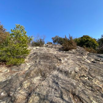 とにかく岩場が多い🪨

なぜ播磨の山は岩だらけなのか？
約6500万年〜200万年前の第三期と言われ流時期に海底火山の噴火で流れ出た溶岩が海水で急激に冷やされた事によってできたハイアロクラスタイトと言われる岩石で出来ているそう……🤔ようわからん…