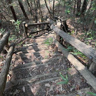 ﾋｨｨｨｨｨ(ﾟﾛﾟ;ﾉ)ﾉ