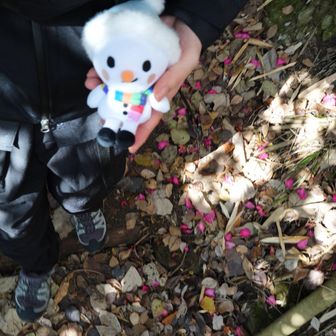 たまゆき 山デビュー