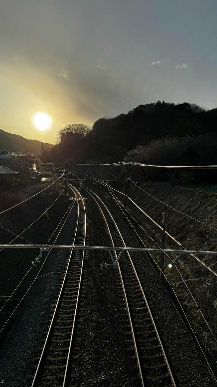 奥高尾〜裏高尾縦走（陣馬山・堂所山・富士見台・駒木野） の写真 68