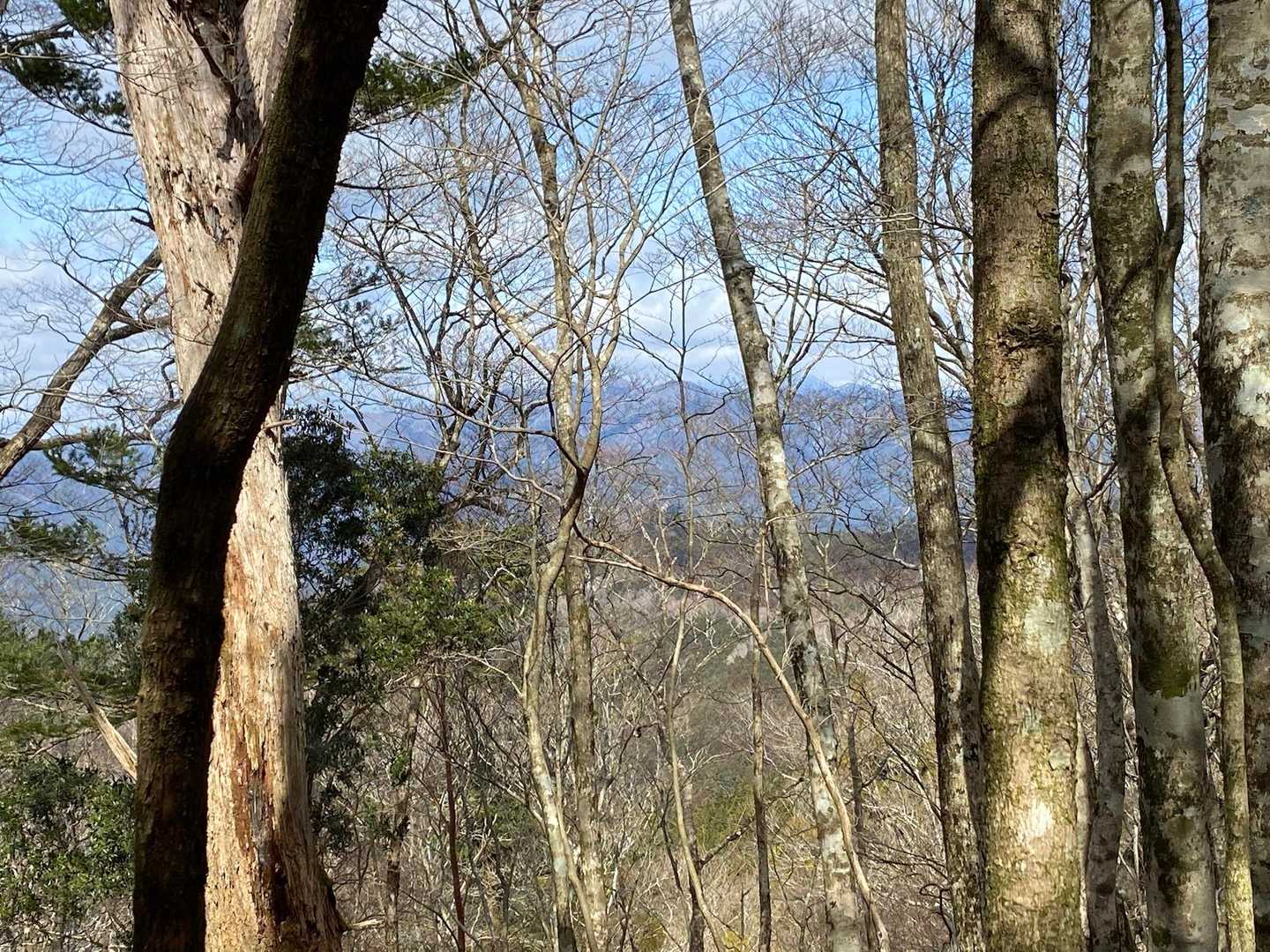 八経ヶ岳⛰️