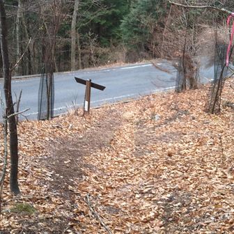 車道を渡ります