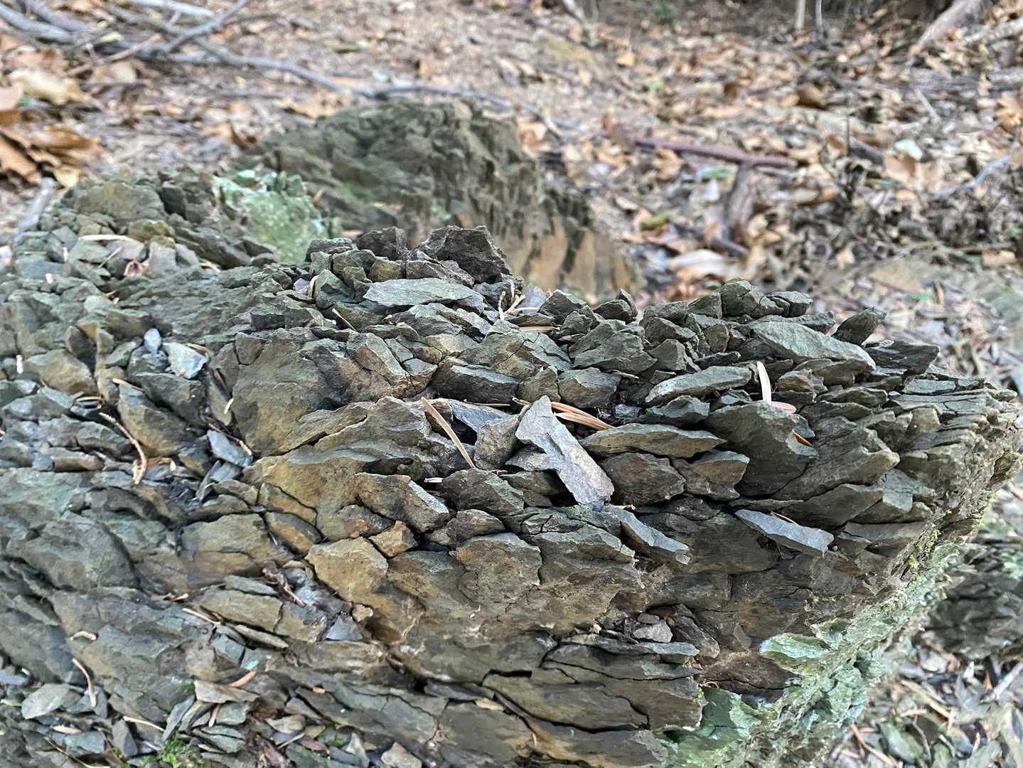 ブラタモリで対馬の地質のほとんどが堆積岩と言われてました