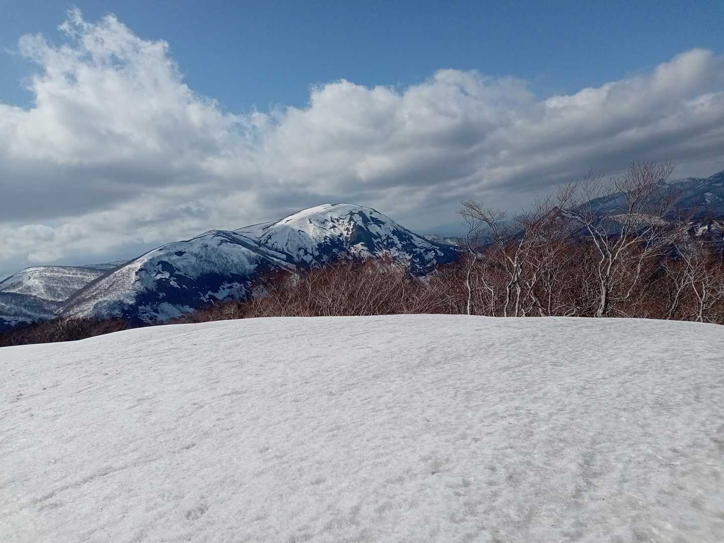 虎毛山です。みんな登ってます。ボクも行きたいです。