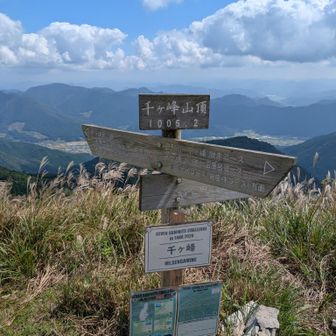 山頂、独り占めでした。こんなことは初めて。
登山道土砂崩落の影響でしょう。
