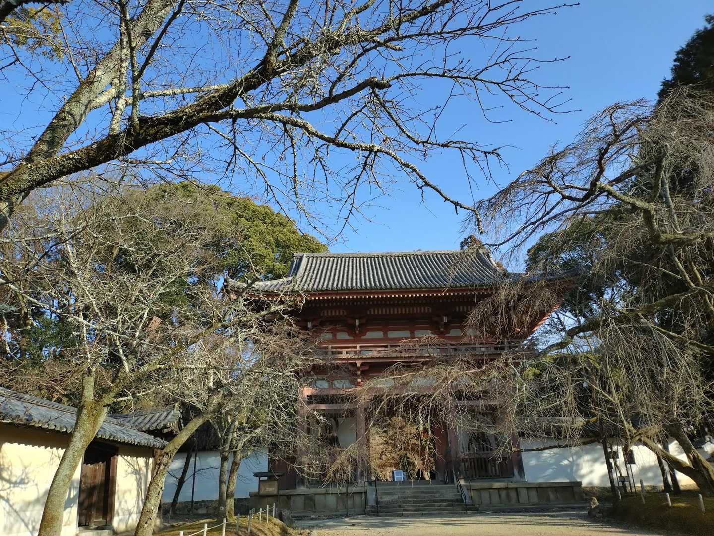 冬は空が綺麗(⁠ ⁠ꈍ⁠ᴗ⁠ꈍ⁠)🔵