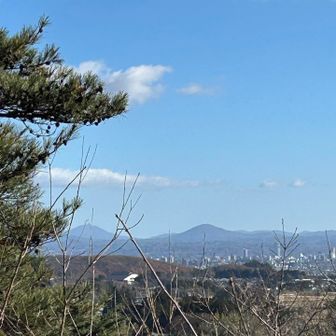 右に鎌倉岳と左側に移ヶ岳
手前に郡山市内のビル群