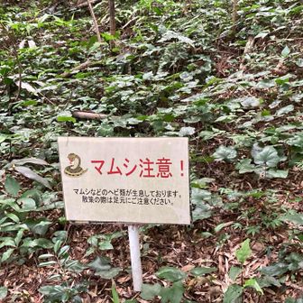 えっ🫤