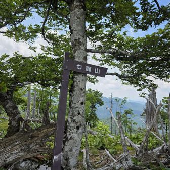 山頂付近