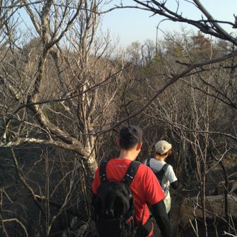 きのみ
　　　焦げた臭いがしてきた💦

いなぼー
　　　そんなわけないやろ💢

きのみさんの
可愛らしい天然発言に対して
容赦なくいなぼーさんが
ツッコミを入れる⚡️

師弟コンビの
爆笑やりとりは続いた
