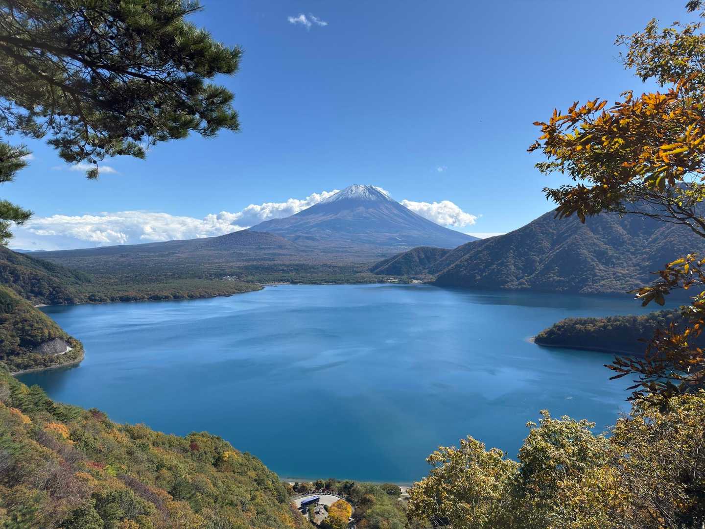 中ノ倉峠登山口-中ノ倉峠-中ノ倉山 往復コースの写真