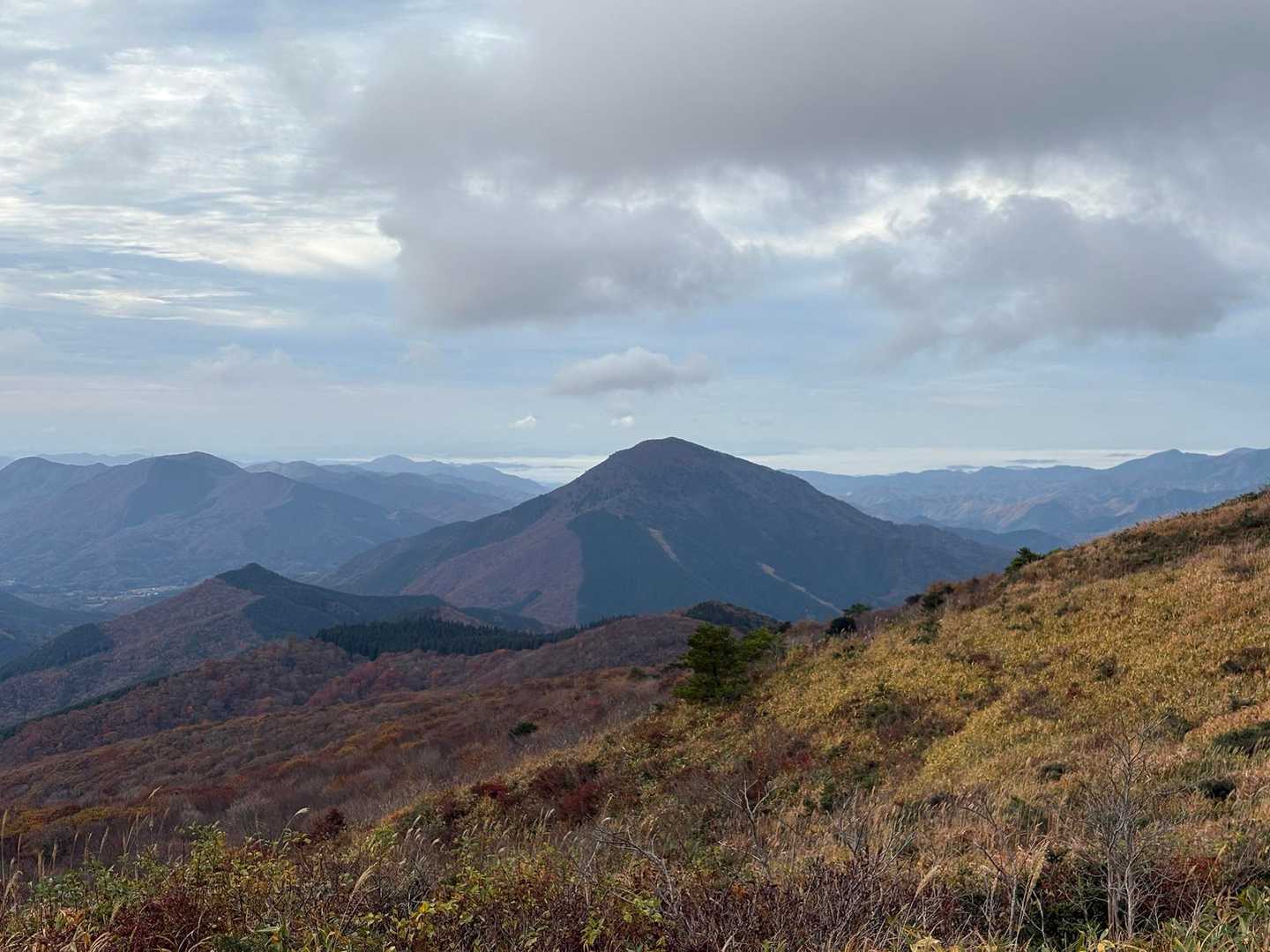月見が丘登山口-岩樋山-道後山 往復コースの写真