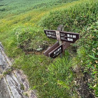 宝川温泉。
そそられる響き♨️