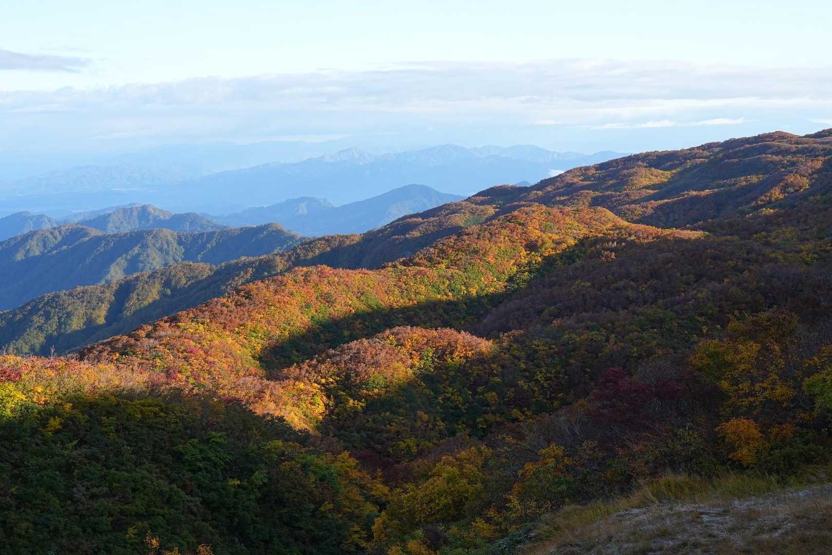 二王子岳登山口-一王子神社-定高山-三王子神社-二王子岳- 往復コースの写真