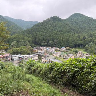 森から抜け出し、吾野の街中へ