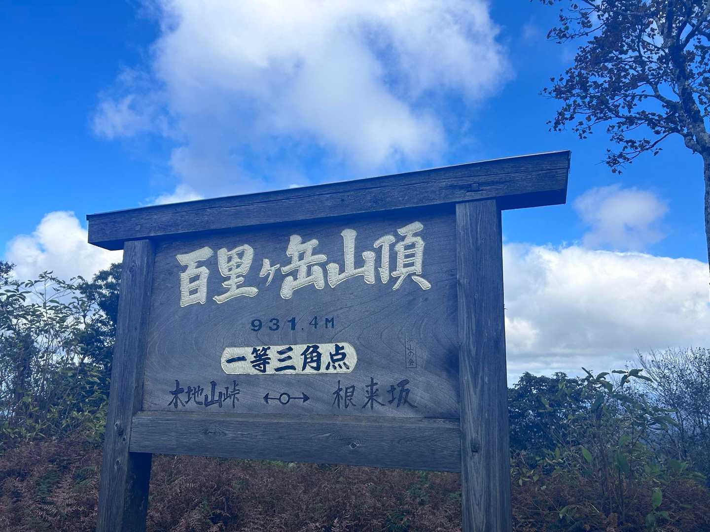 立派な看板😳