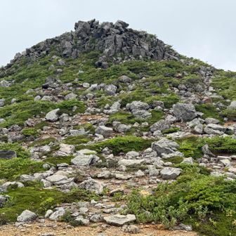 山頂はゴツゴツですね〜