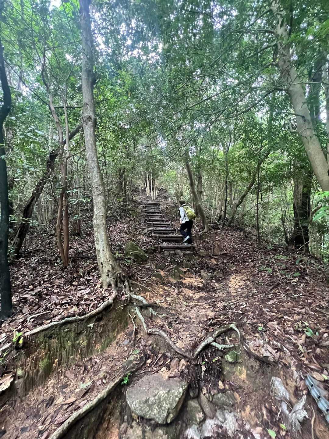 丸山キャンプ場登山口-丸山 往復コースの写真