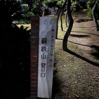 昨日逆側から登ろうとしたら暗かったけど、ここは明るい。