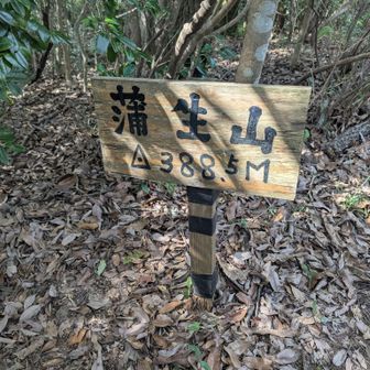 蒲生山到着
見晴らしはよくない
が
