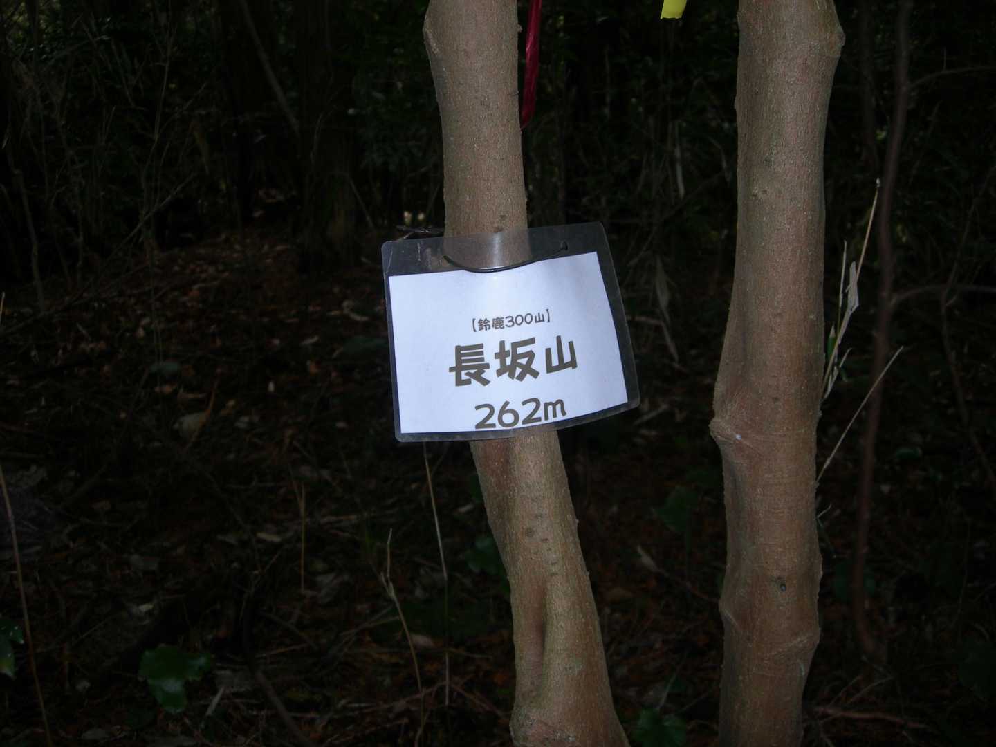 12年ぶり