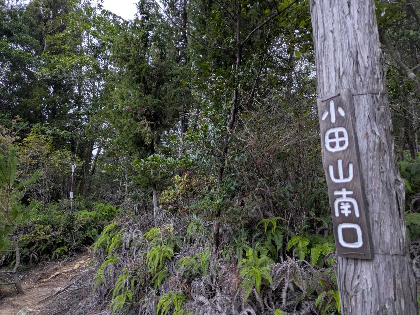 という訳で、今日はこちらからスターティン🏃
