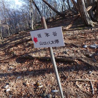 坂本谷はお勧めできない