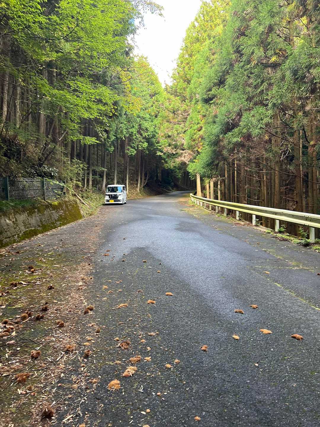 登山口近くの路肩に停めさせて頂きました
他の方は反対側に停めてはりました