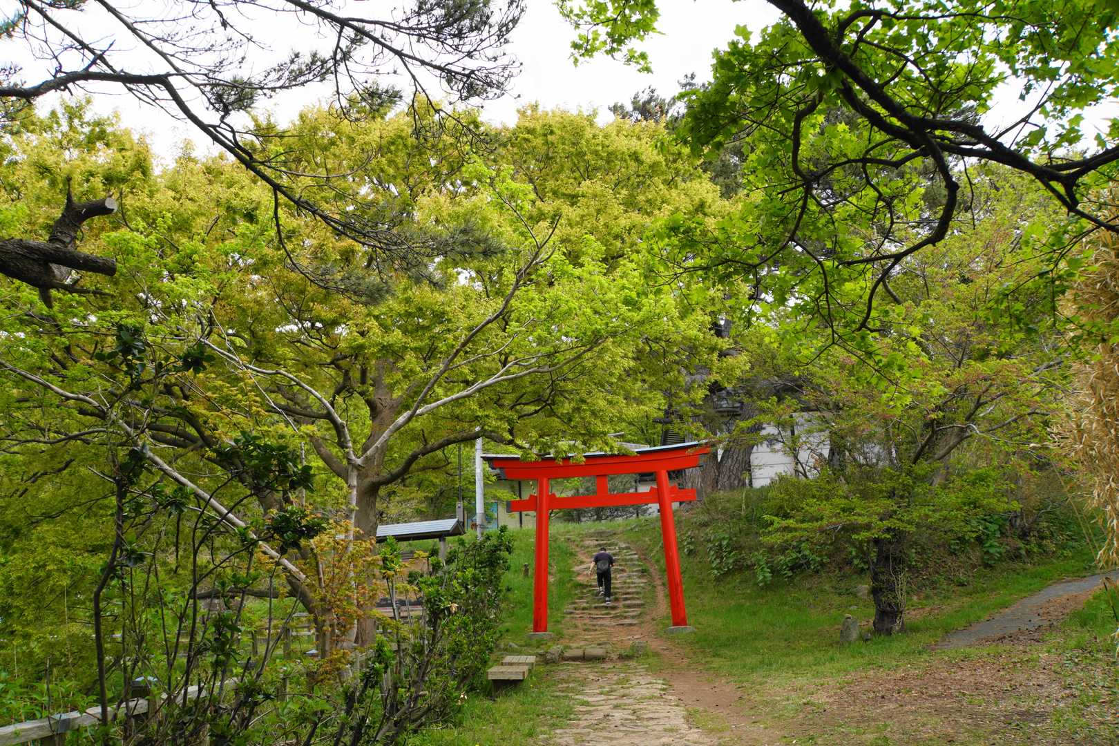 お山かけコース登山道入口-赤神神社 五社堂 往復コースの写真