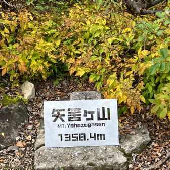 ここで県外からのパーティとご夫婦と一緒になり団体で下山　会話が弾む👍😆