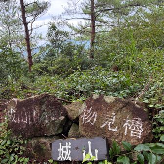 山頂着