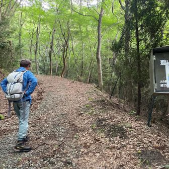 高校同級生のM君と、大障子登山口に車を停めて愛山新道登山口からスタート▶️ 朝4時にピックアップして貰いました