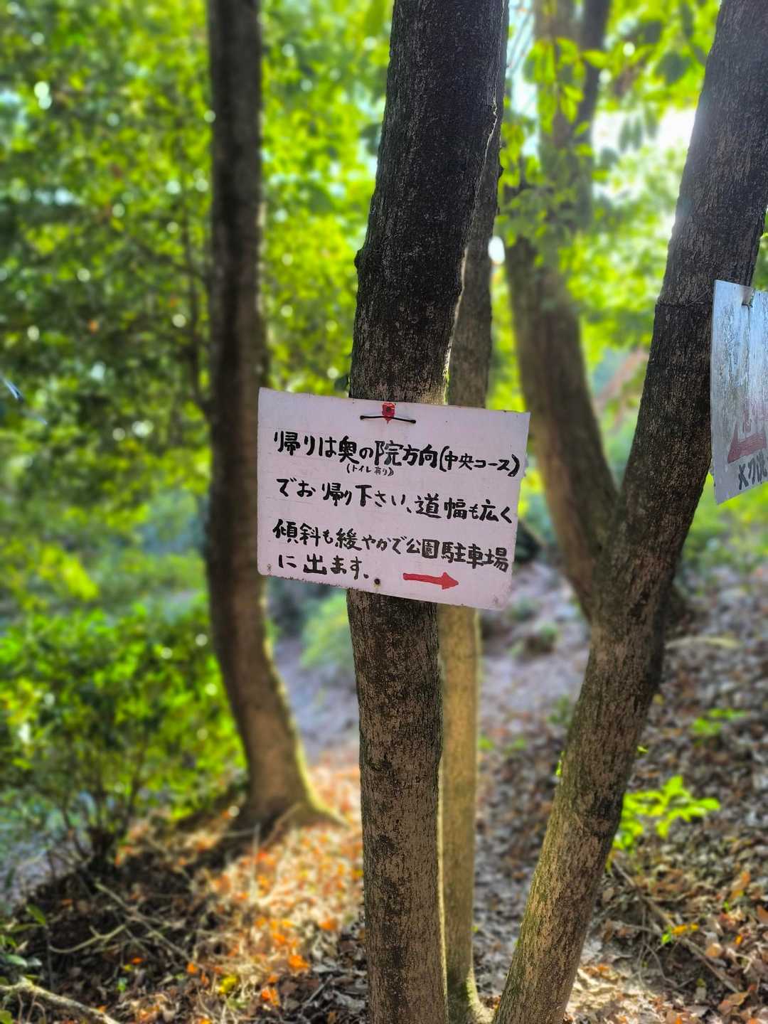 親切過ぎる〜✨