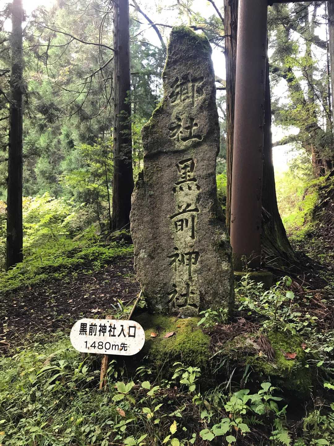 黒前神社入り口みたい👀