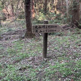 大山峠、奥山登山口表示　駐車場に向かいます🙂