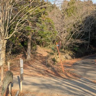 正面の細い登山道へ入ります。一応舗装路からも行ける様です。