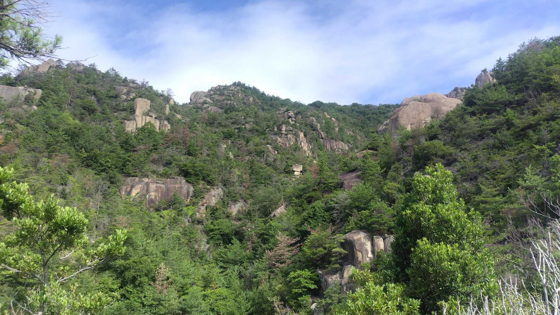 陀峯山 往復コースの写真