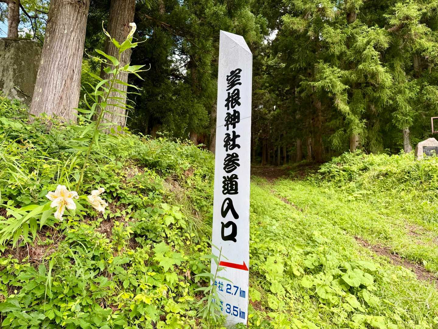 それではスタート
気温は、23℃くらいです。