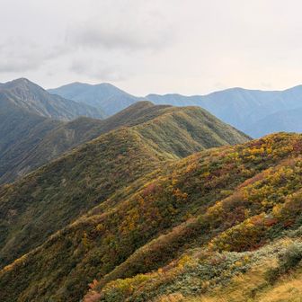 相模山へ続くスカイライン✨