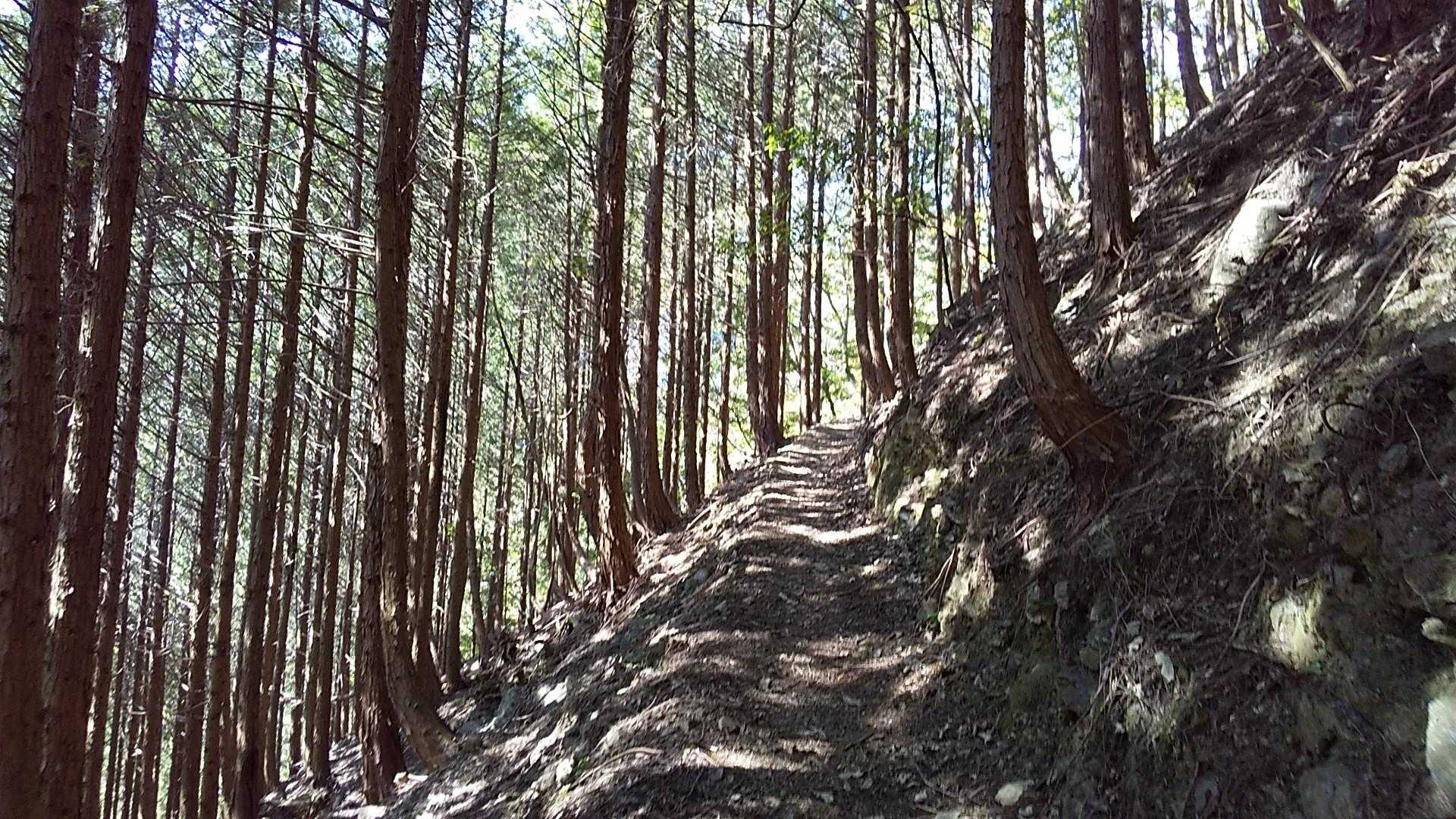 国見山 周回コースの写真
