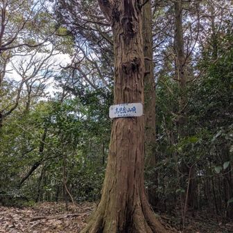 結構な急登を頑張って登るもご褒美なし