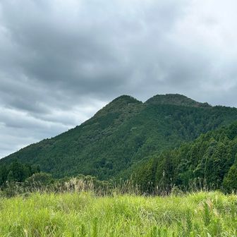 アップダウン少なく楽しいお山でした♪