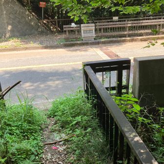 舗装道に出ました。