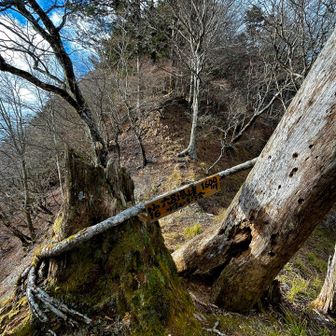 六呂場峠　到着
相変わらずアップダウンの連続😵