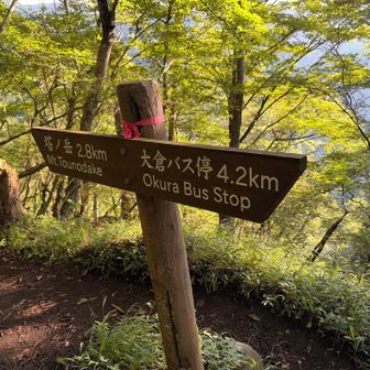 ここで引き返さないと辛い目に遭います…本当にこの後の階段きつかったです…