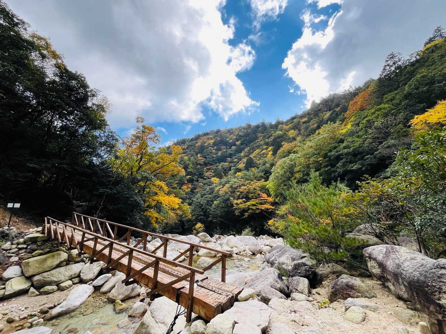 中登山口-御在所岳-国見峠 周回コースの写真