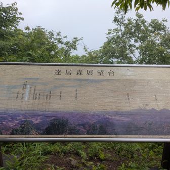 うーむ、看板くすんできたけど、これは洗えばなんとかなるタイプのでも無さそうだな