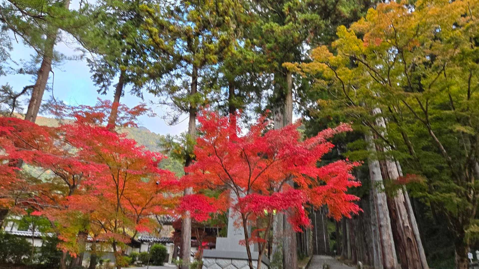 身延山周回 | 日蓮宗総本山の聖地。往時の参道を行けば富士山・南アルプスの眺望の写真