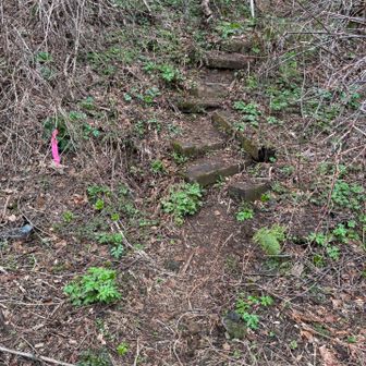 スカイラインを経由して
ここが最後の登り